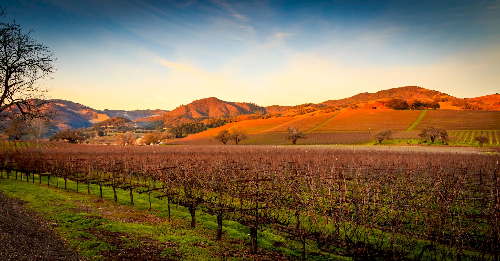 carneros-the-orchard-at-carneros-experience-luxury